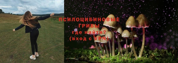 мет Балахна